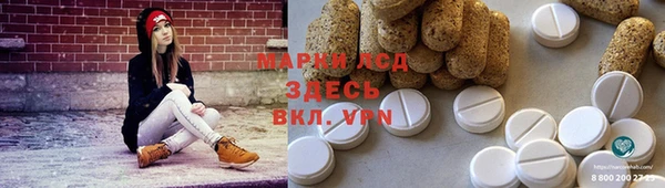стафф Аркадак